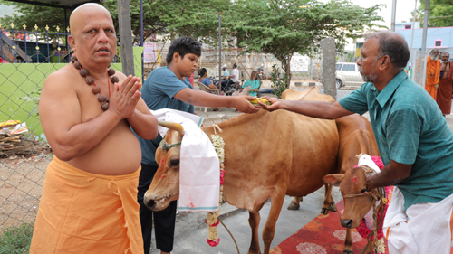 Gaushala Fund